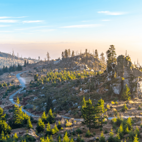 Dreisesselberg Dreisesselberg