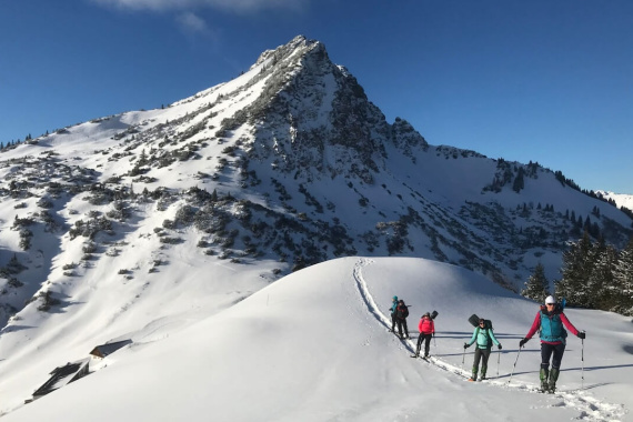 Interesse geweckt? Interesse geweckt?