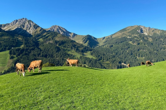 Programm der GipfelApfelMomente Bergschule Programm der GipfelApfelMomente Bergschule