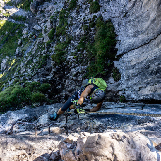 Tagesprogramm Tagesprogramm