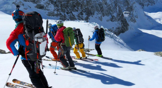 Winter Highlights Winter Highlights