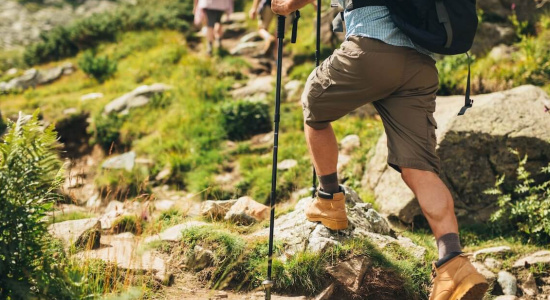 Wander Guide Wander Guide