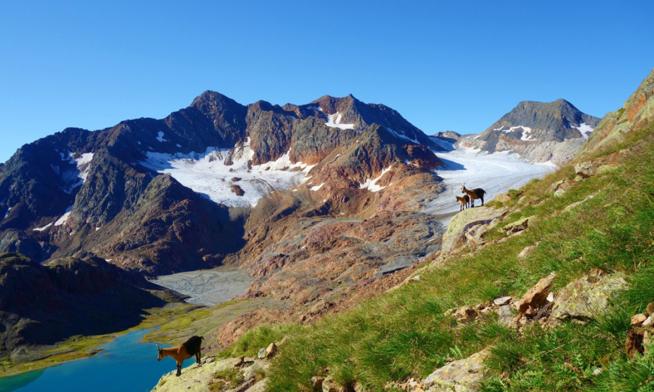 Webcam am Becherhaus