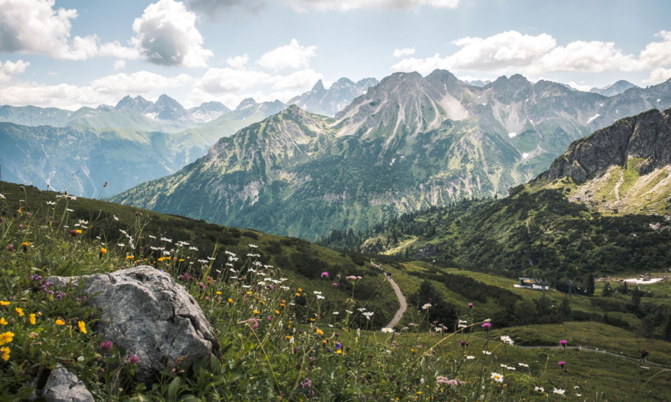 Webcam Fellhorn Webcam Fellhorn