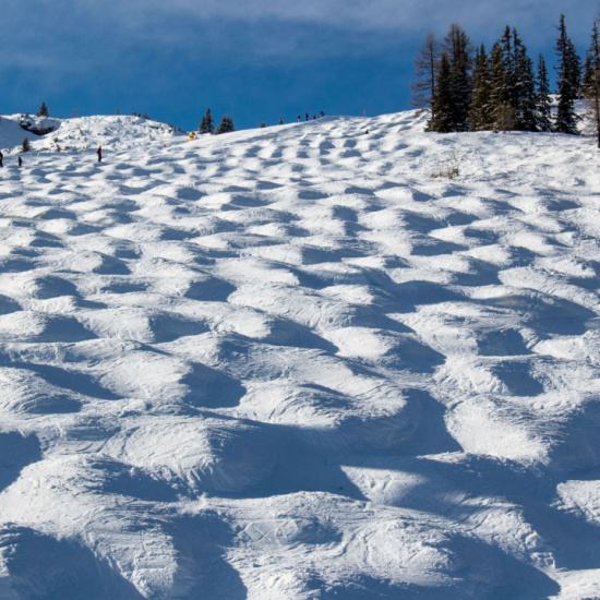 Tipps zum Befahren einer Buckelpiste Tipps zum Befahren einer Buckelpiste