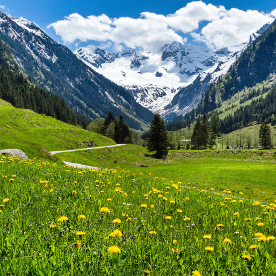 Frühling in den Bergen Frühling in den Bergen