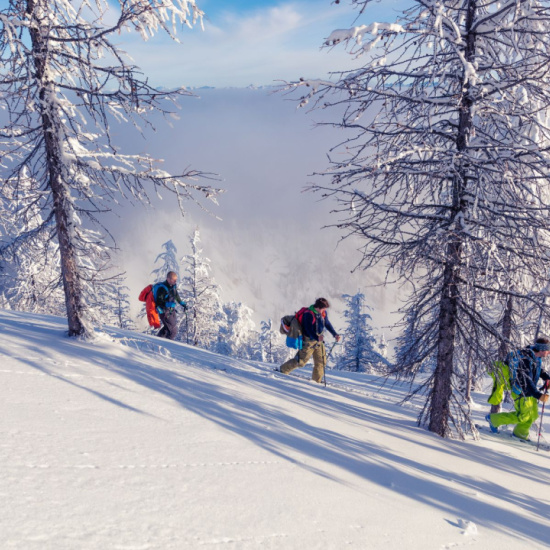 Skitouren Anfänger Guide Skitouren Anfänger Guide