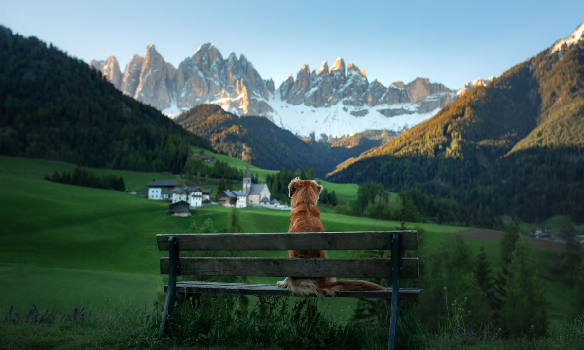Urlaub mit Hund in den Dolomiten