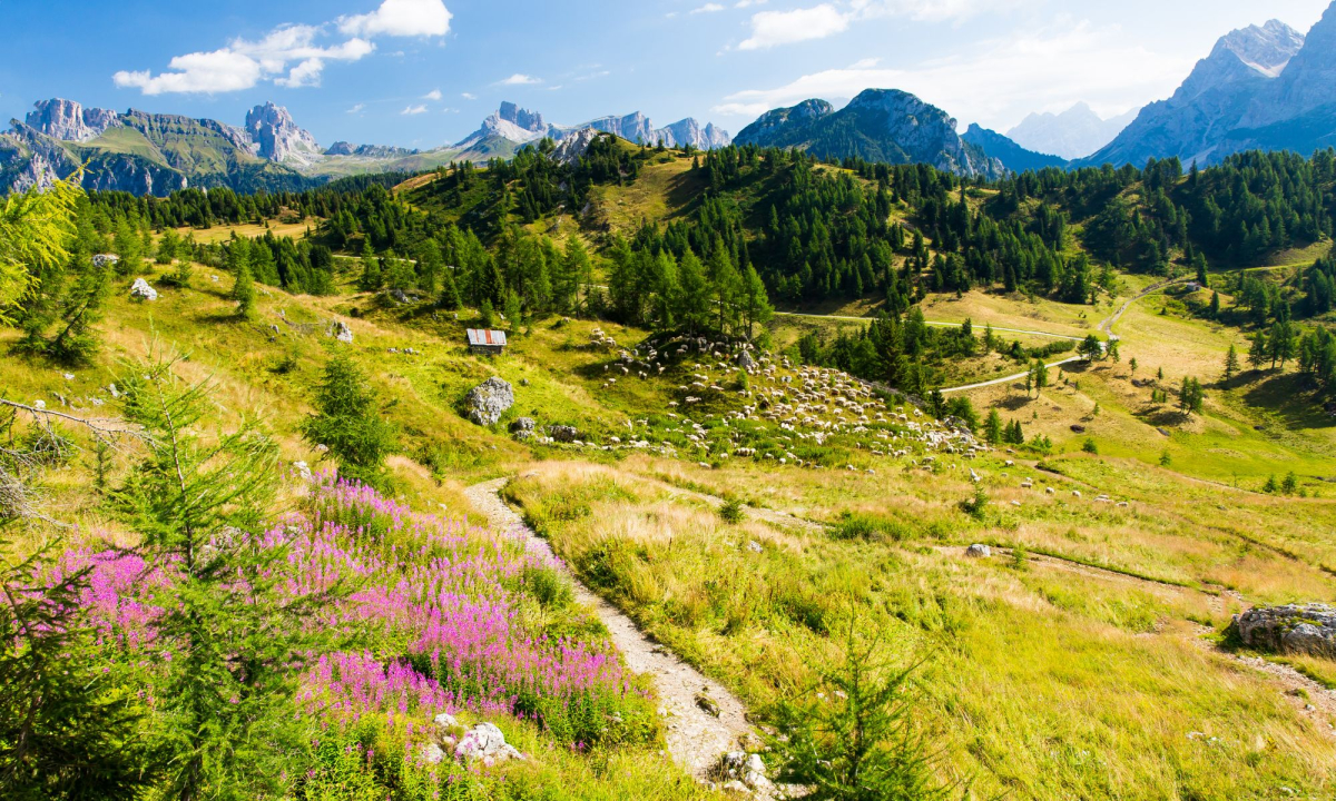 Wandern mit Hund in den Dolomiten