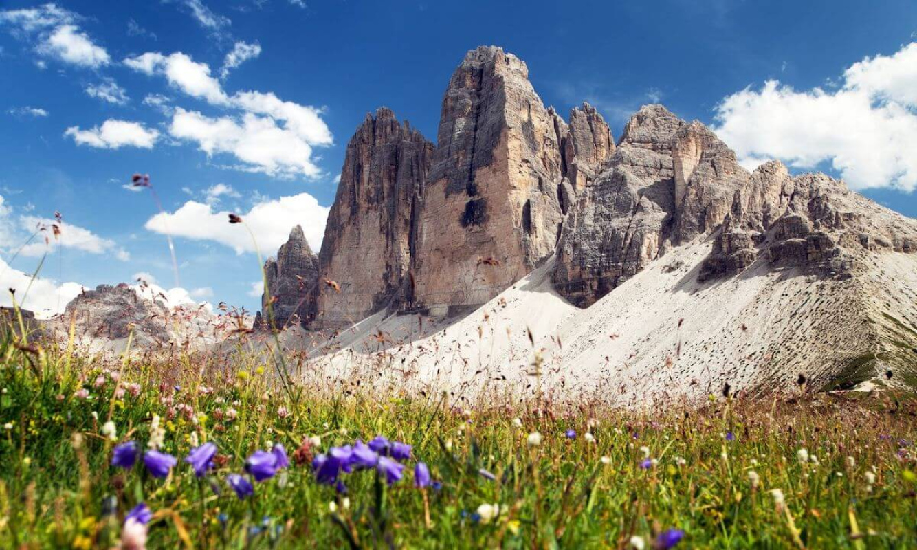 Die Drei Zinnen im blühenden Frühling