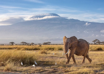 5 große Gebirge in Afrika