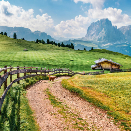 Wandern mit Hund in den Dolomiten