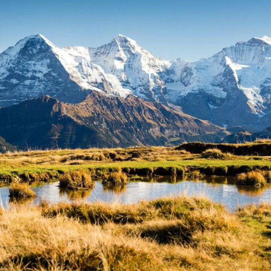 Berge rund um Grindelwald