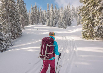 Sicher und erfolgreich Skitouren planen Sicher und erfolgreich Skitouren planen