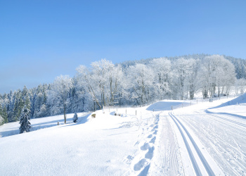 Winter in Niederbayern Winter in Niederbayern