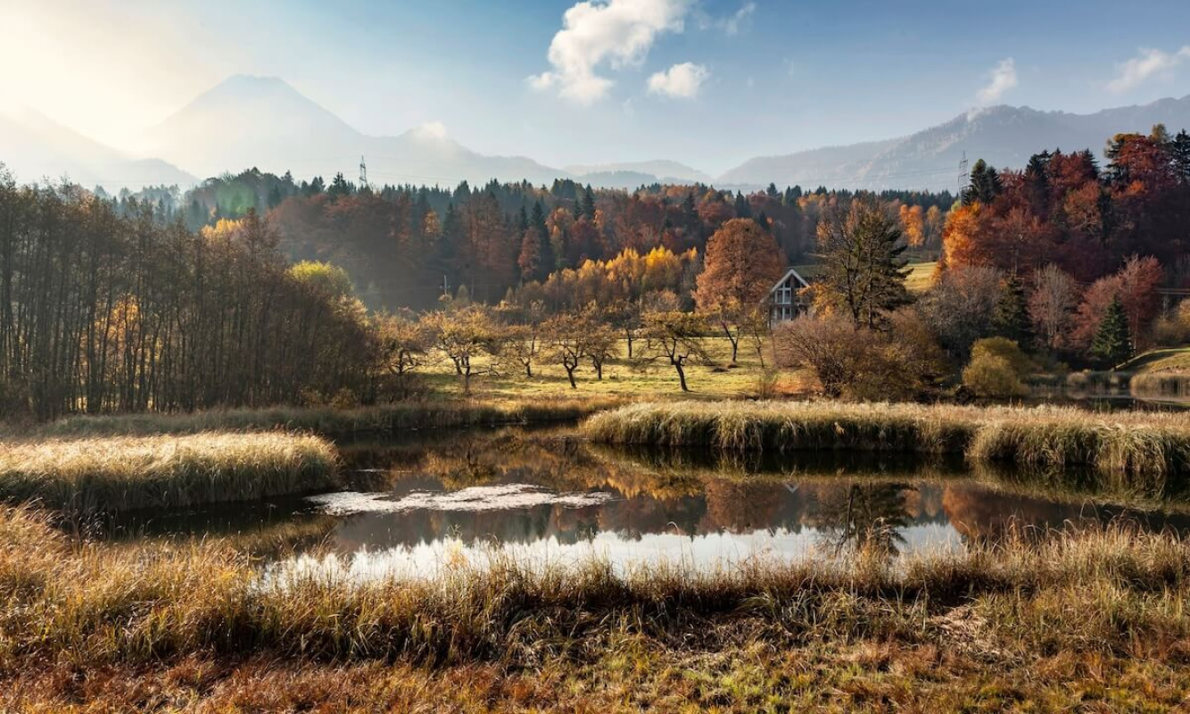 Aichwaldsee Aichwaldsee