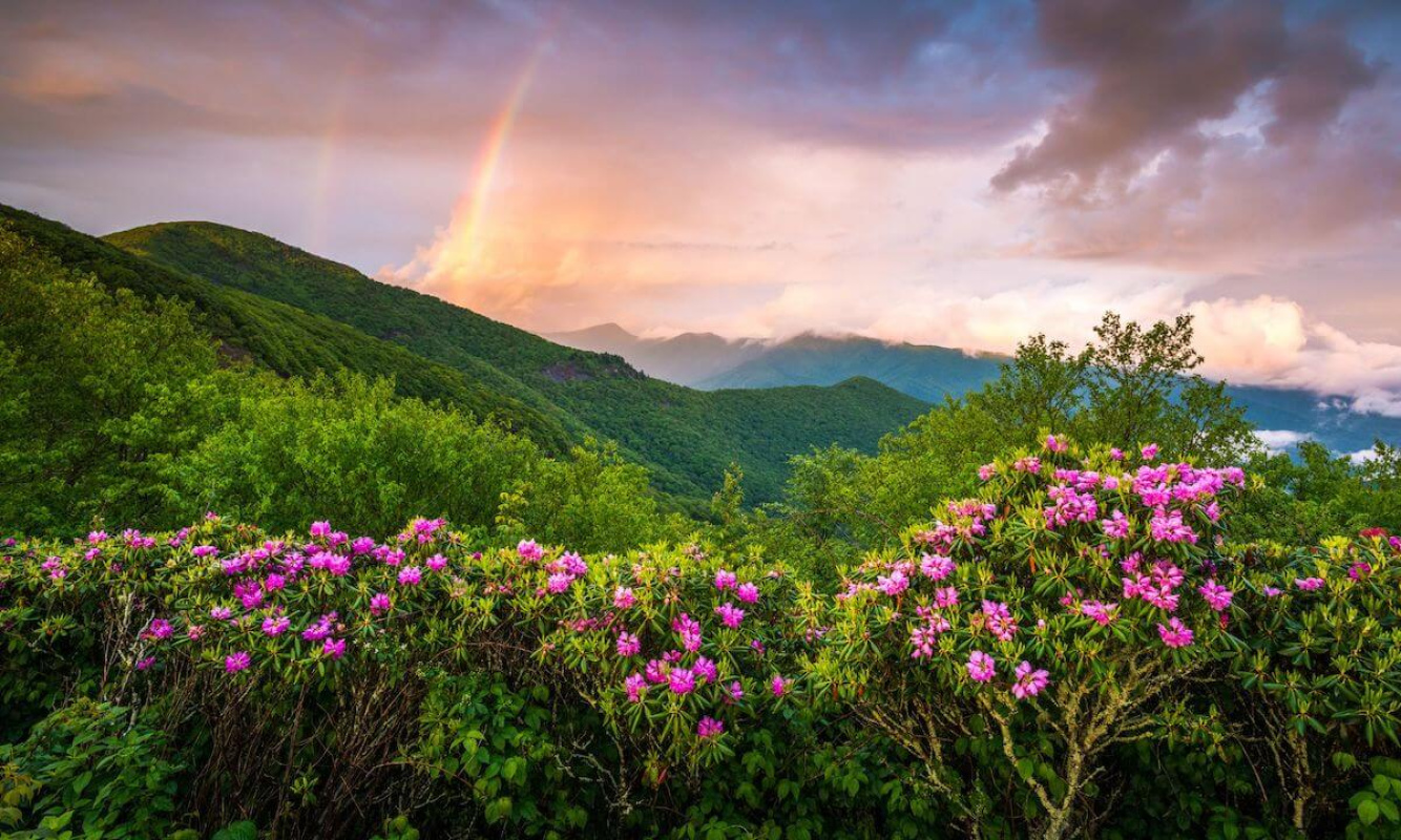 Die Appalachen Die Appalachen