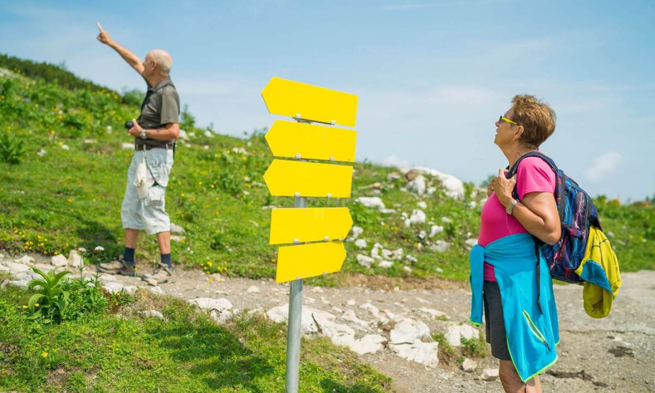 Die verschiedenen Arten der DAV Mitgliedschaft Die verschiedenen Arten der DAV Mitgliedschaft