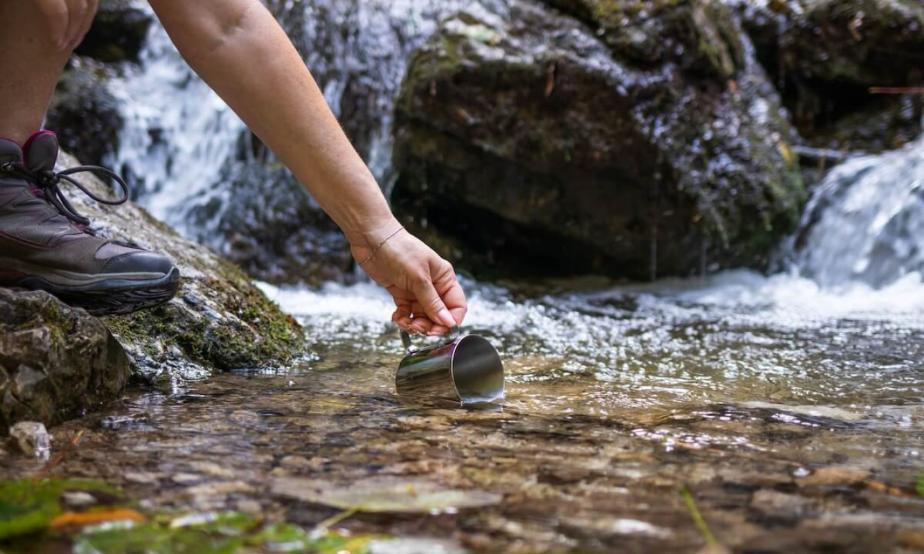 Aus dem Bergbach trinken Aus dem Bergbach trinken