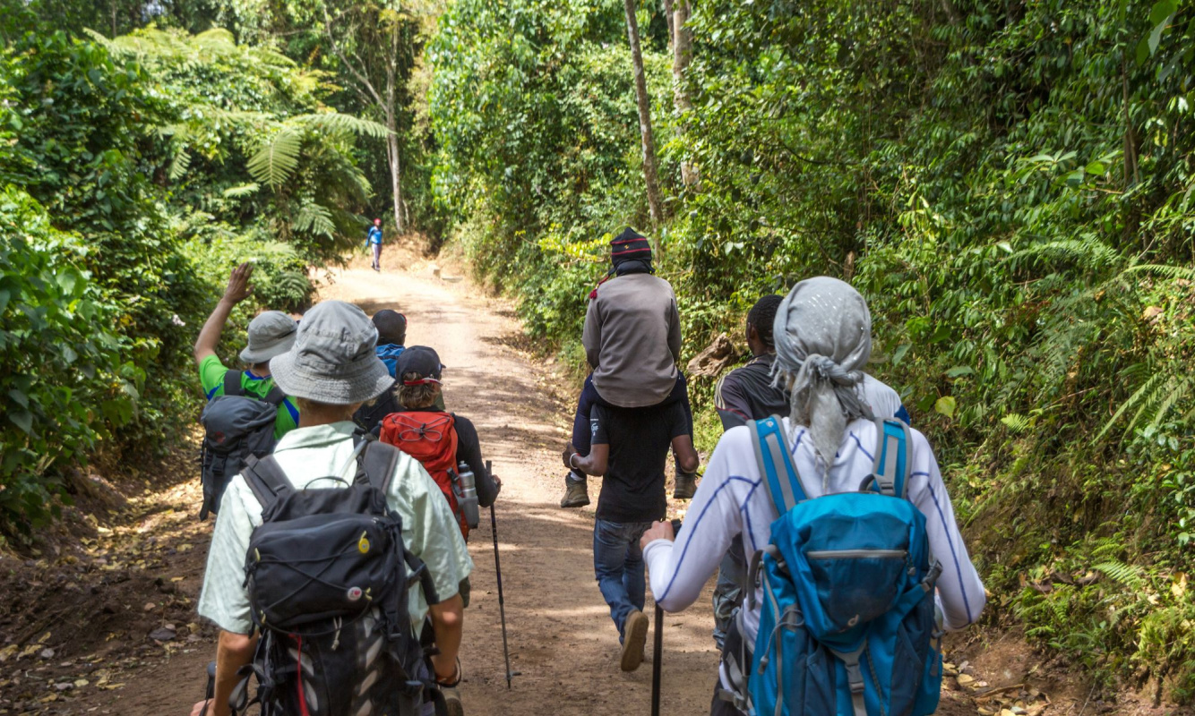 Besteigung des Kilimandscharo Besteigung des Kilimandscharo