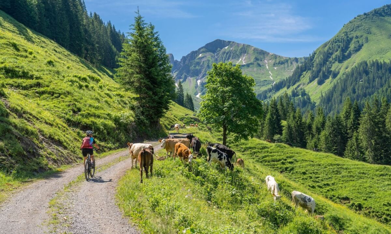 Fahrradfahren in den Bergen Fahrradfahren in den Bergen