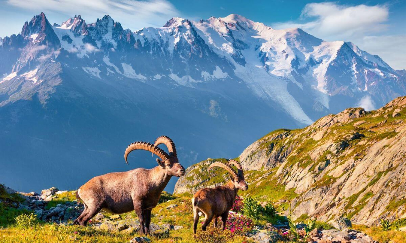 Gefährliche Berge dieser Welt Gefährliche Berge dieser Welt