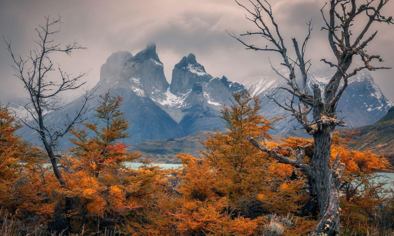Herbst in Patagonien - Traumhafte Momente in der bunten Jahreszeit Herbst in Patagonien - Traumhafte Momente in der bunten Jahreszeit
