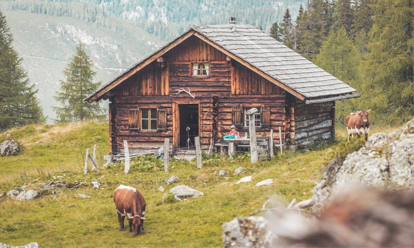 Das Leben auf der Alm Das Leben auf der Alm
