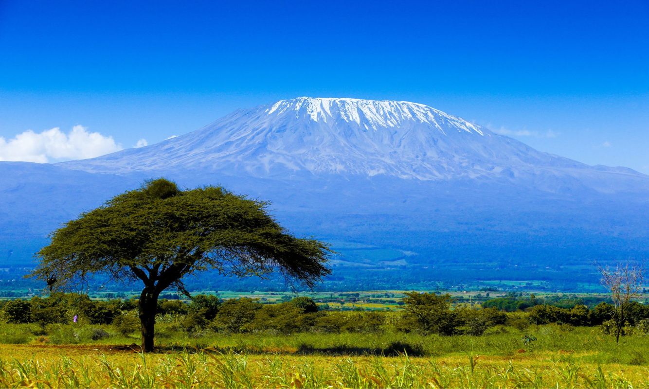 Kilimanjaro Kilimanjaro
