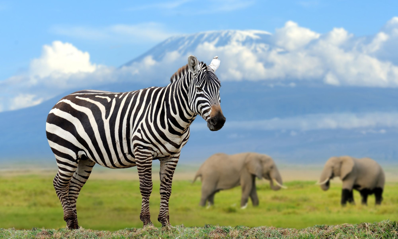 Kilimanjaro Besteigung Kilimanjaro Besteigung