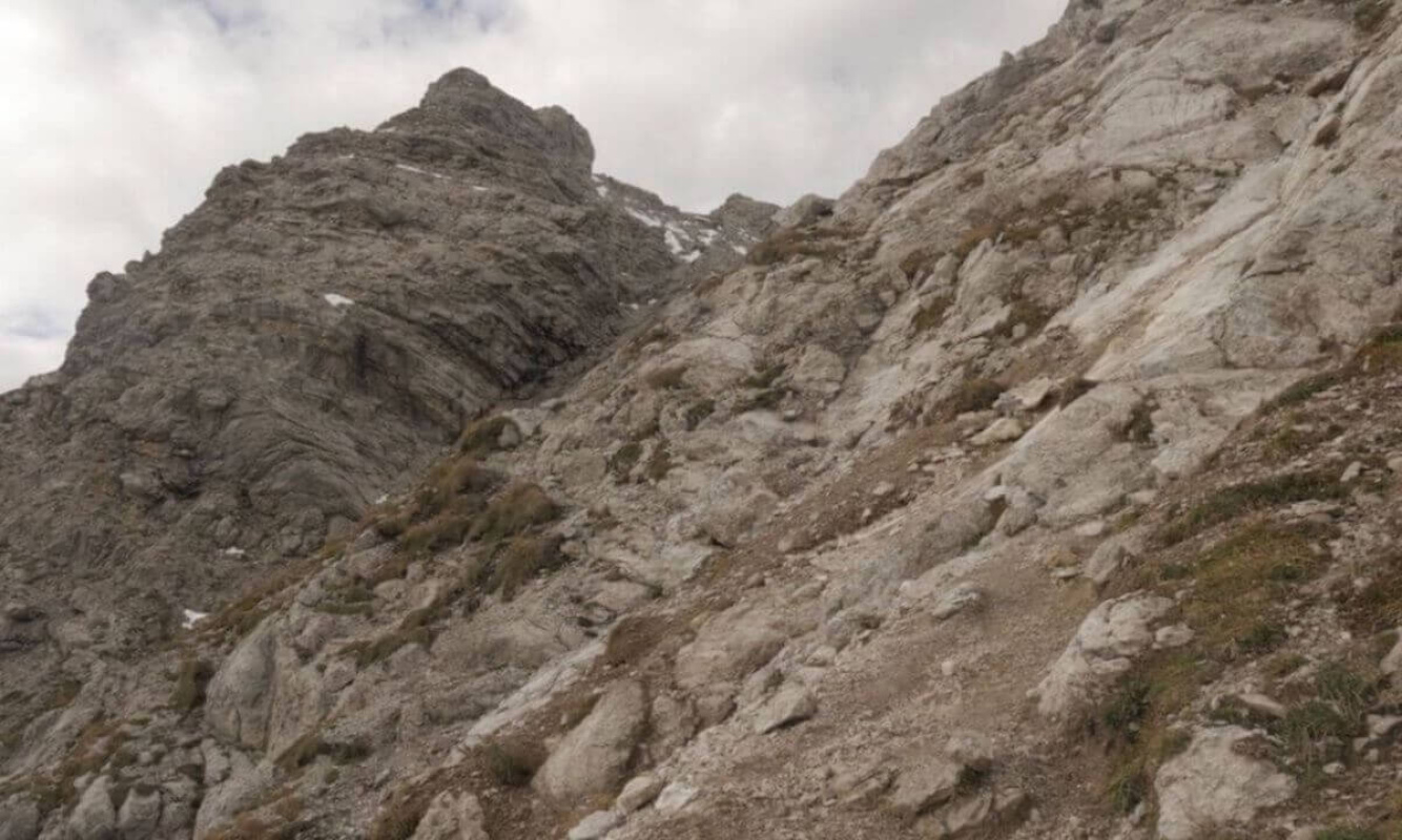 Kleiner Daumen Kleiner Daumen