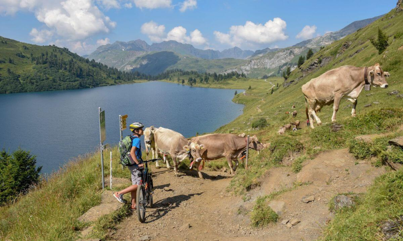 Unvergessliche Begegnungen am Engstlensee Unvergessliche Begegnungen am Engstlensee