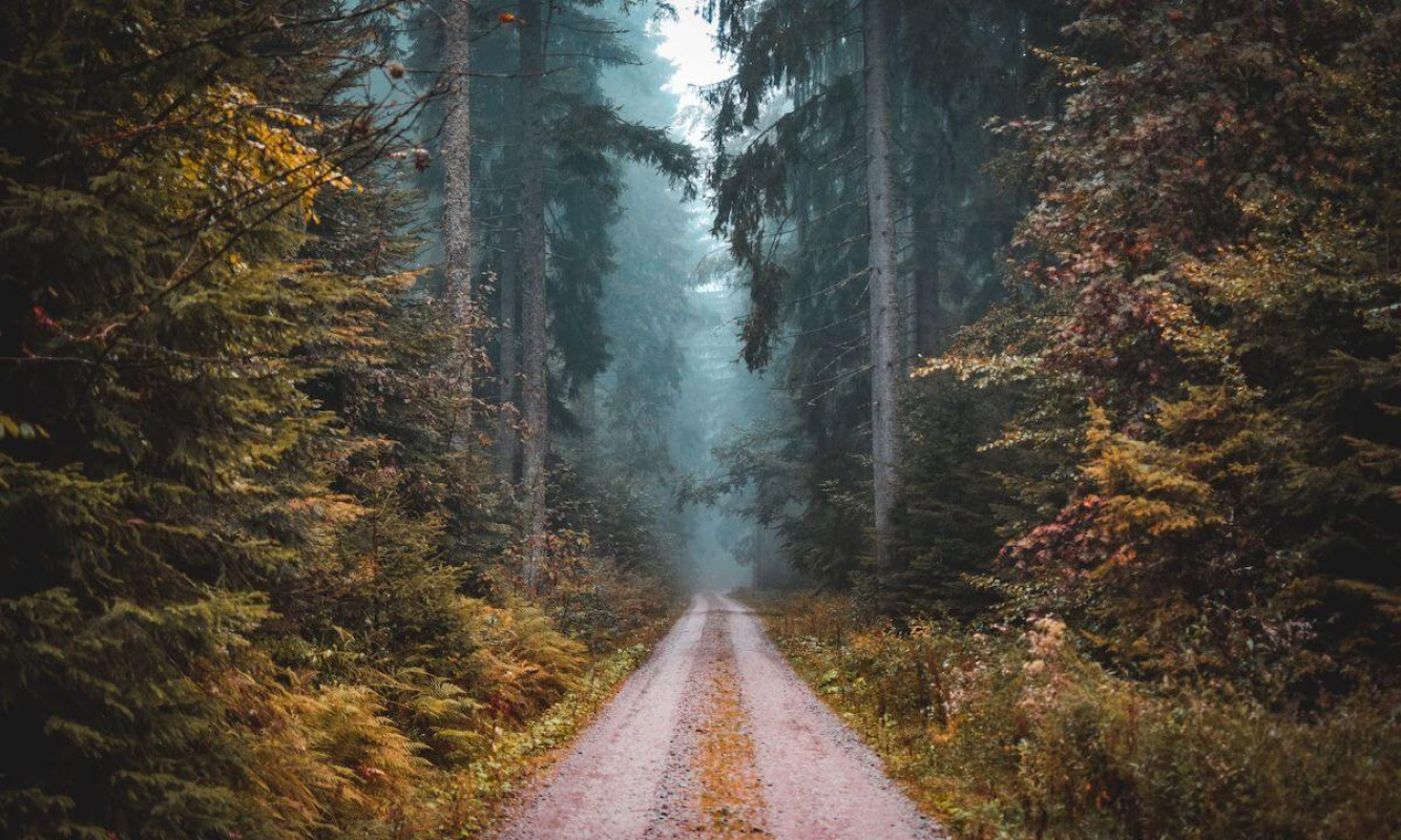 Mythen und Märchen aus dem Schwarzwald Mythen und Märchen aus dem Schwarzwald