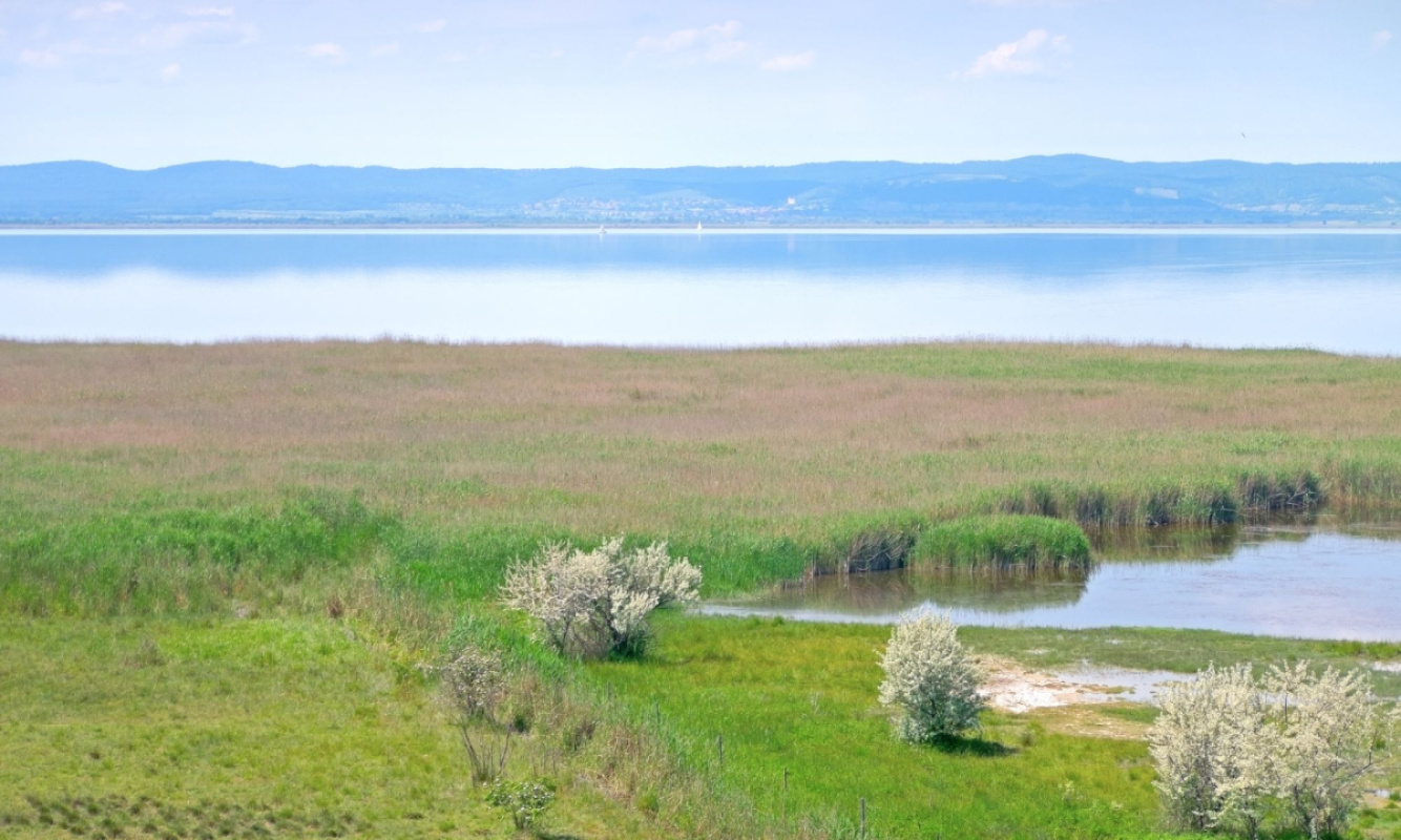 Nationalpark Neusiedler See Nationalpark Neusiedler See