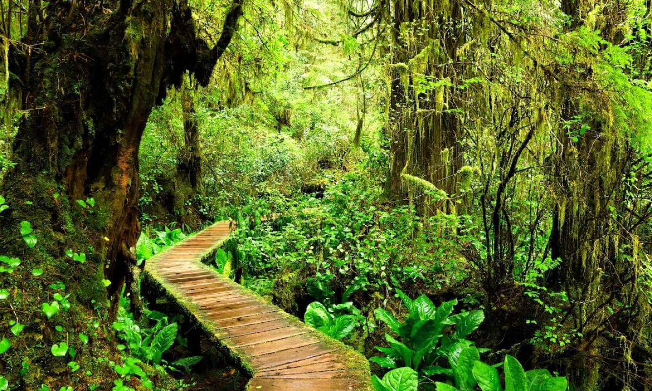 Der Pacific Rim Nationalpark Der Pacific Rim Nationalpark