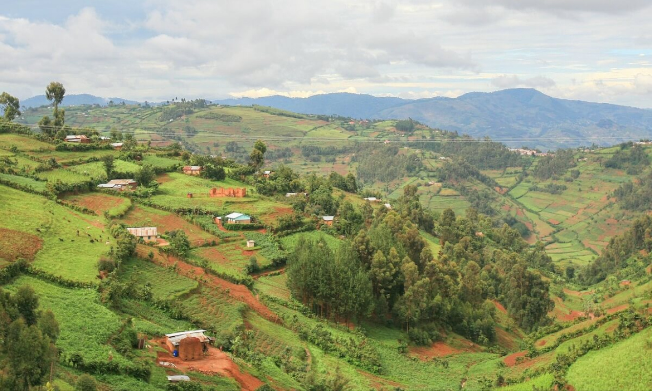 Ruwenzori Gebirge Ruwenzori Gebirge
