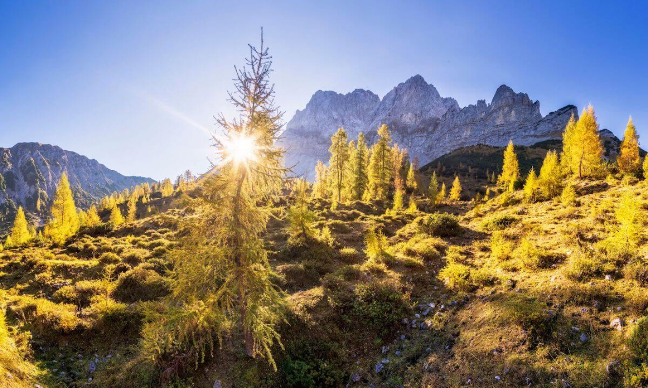 Sonne im Herbst Sonne im Herbst