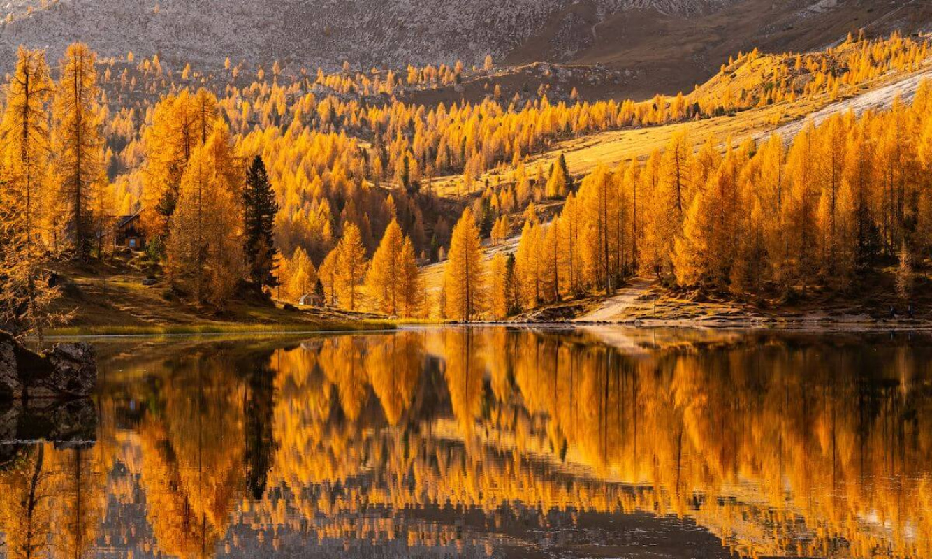Die idyllische Spiegelung im Lago Fedèra im Herbst Die idyllische Spiegelung im Lago Fedèra im Herbst