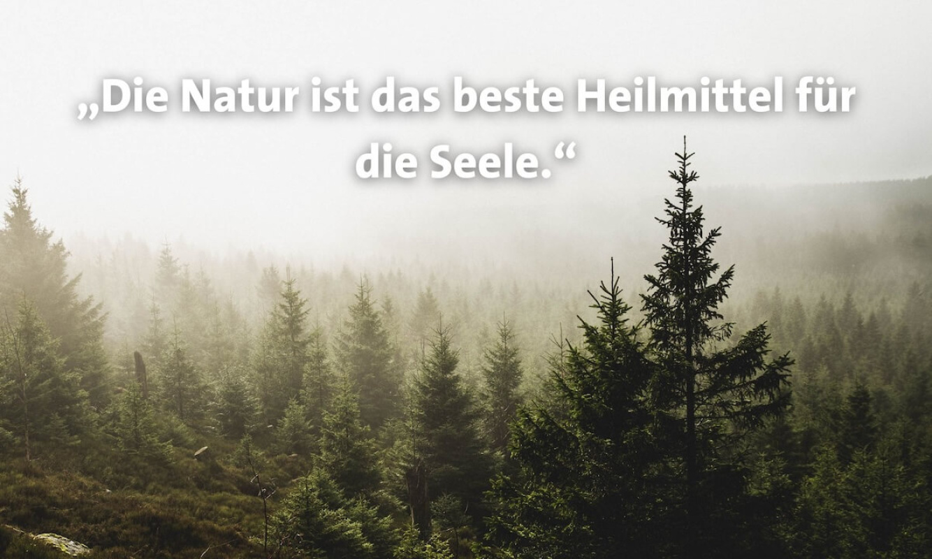 Sprüche für Wanderfreunde Sprüche für Wanderfreunde