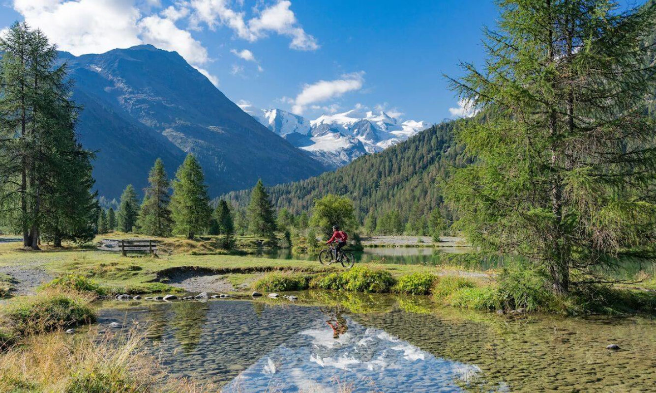 Trekkingrad Trekkingrad