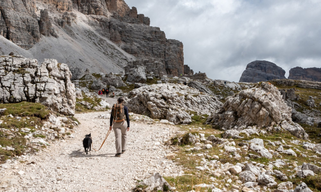 Urlaub mit Hund an den Drei Zinnen Urlaub mit Hund an den Drei Zinnen
