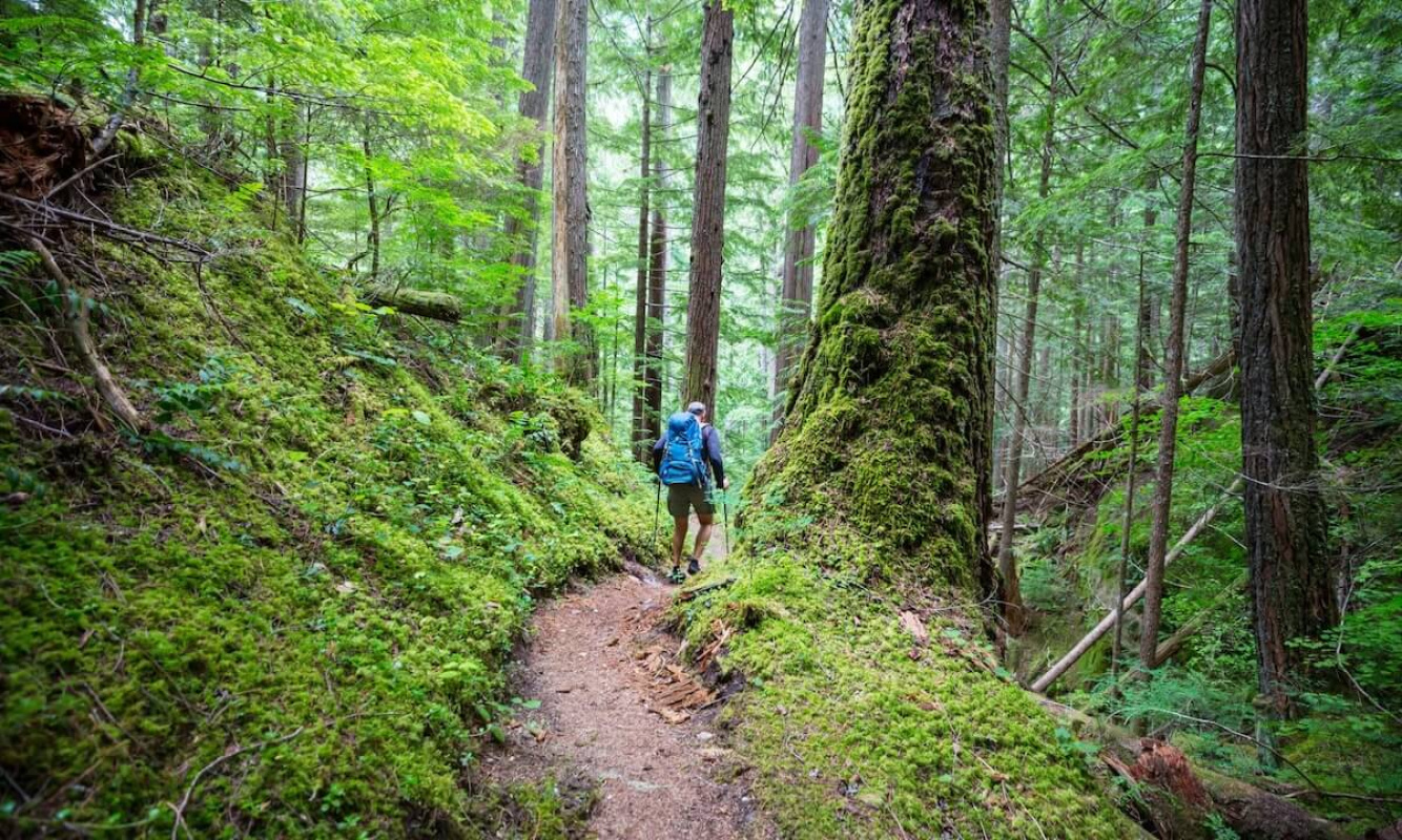 Wandern im Nationalpark Wandern im Nationalpark