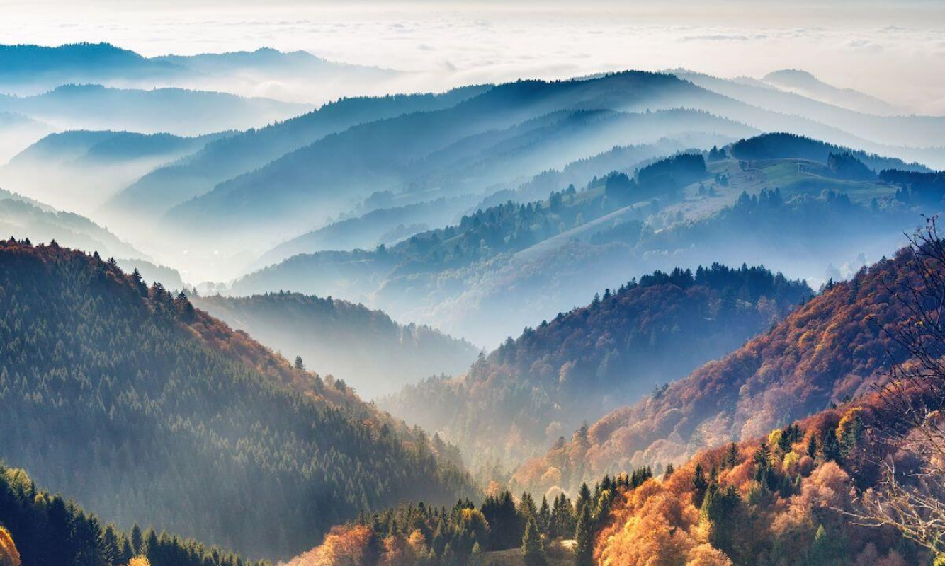 Wandern im Schwarzwald Wandern im Schwarzwald