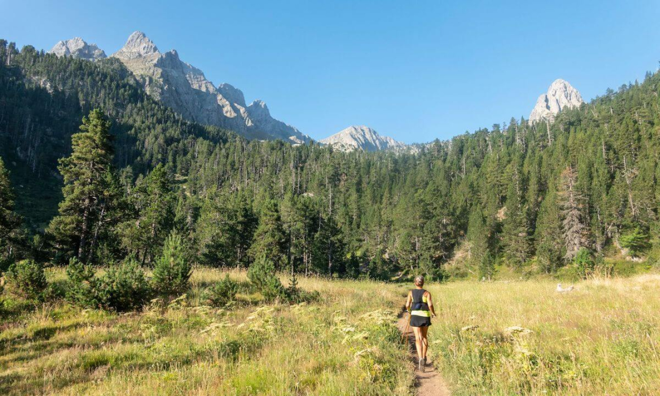 Wanderung durch die Pflanzenwelt der Pyrenäen Wanderung durch die Pflanzenwelt der Pyrenäen