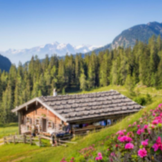 Ferienhäuser in den Alpen Ferienhäuser in den Alpen