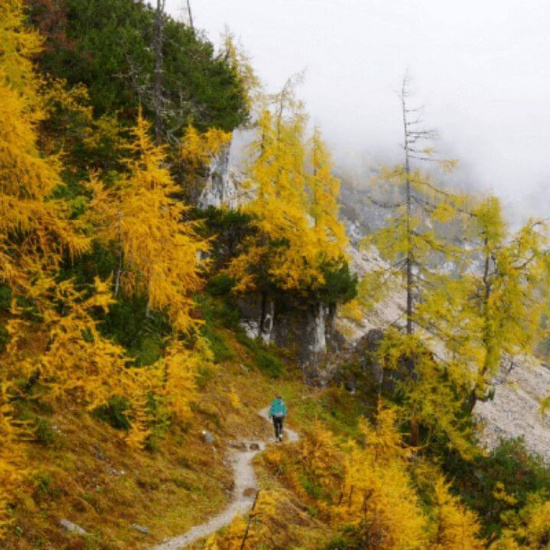 Herbst in den Bergen Herbst in den Bergen