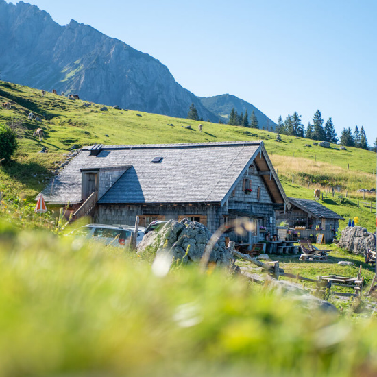 Vegane Berghütten Vegane Berghütten