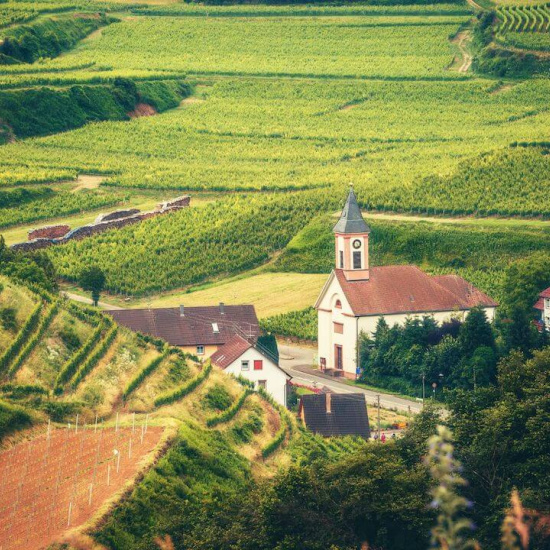 Wandern im Schwarzwald Wandern im Schwarzwald