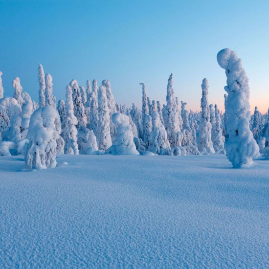 Beliebte Winter Destinationen Beliebte Winter Destinationen