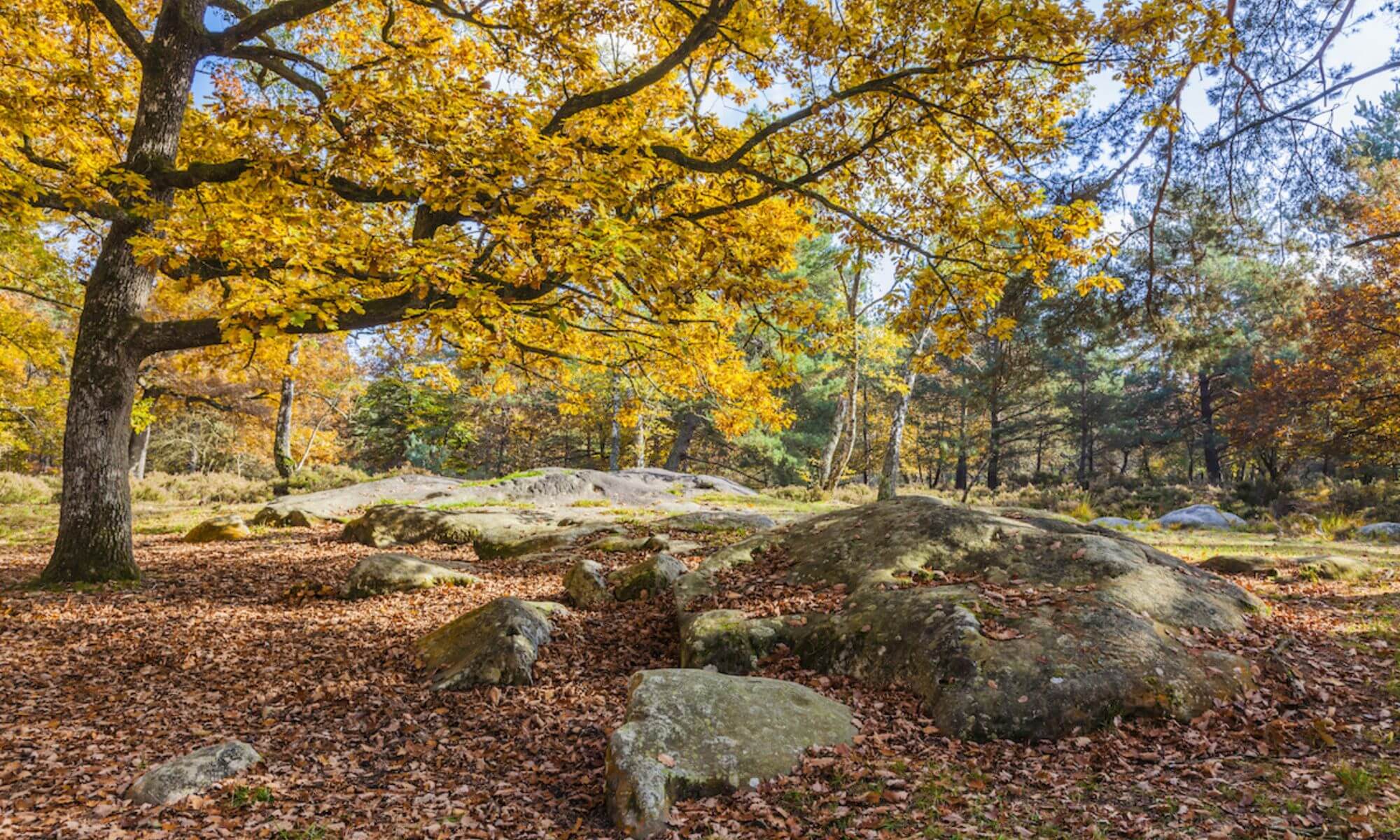 Anreise zum Bouldern in Fontainebleau Anreise zum Bouldern in Fontainebleau